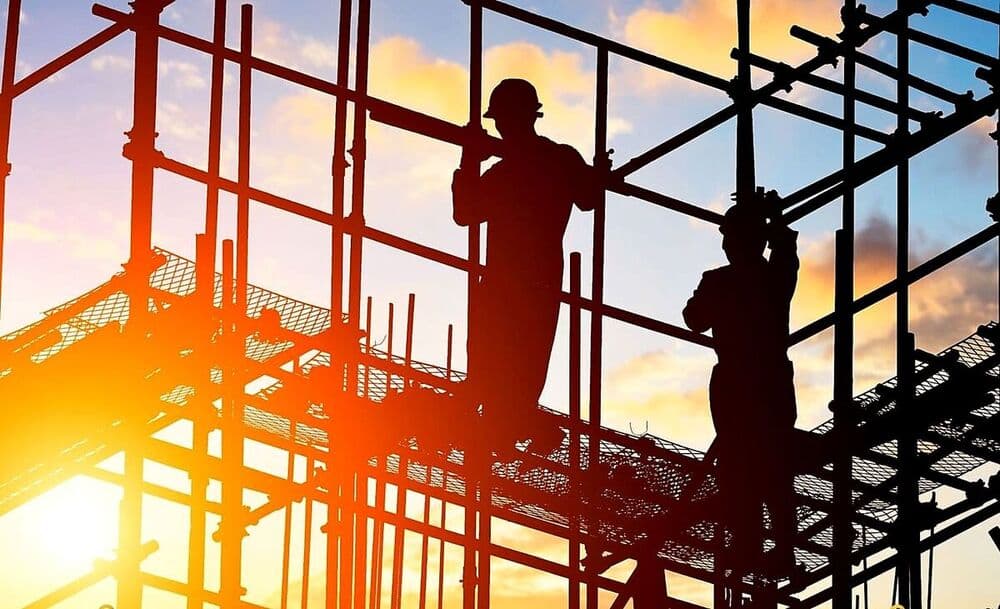 La savia nueva del mercado laboral