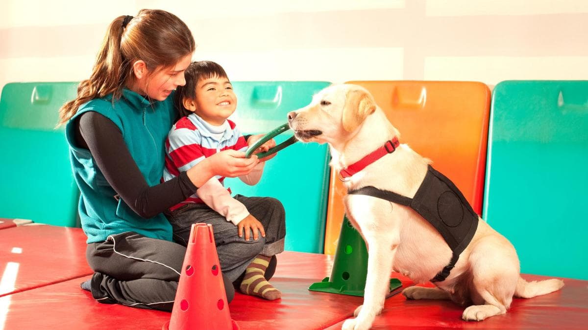¿Puede funcionar una terapia psicológica por internet en niños? Un estudio demuestra que sus beneficios se mantuvieron dos años