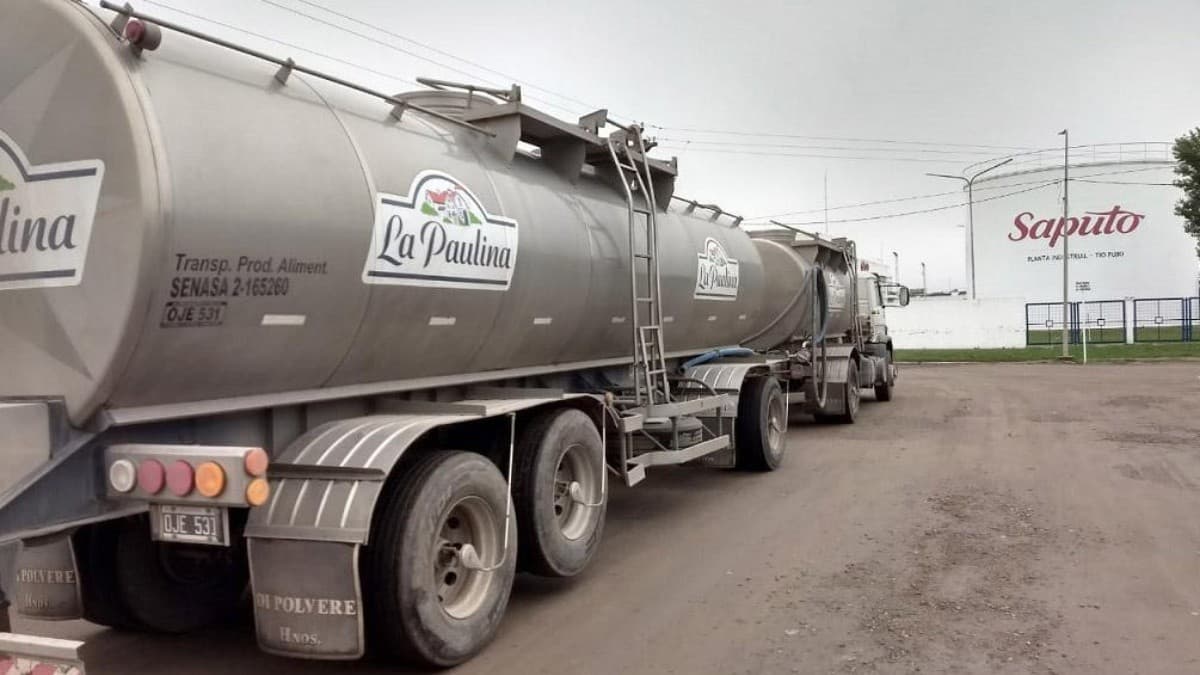 Fusiones, inversiones y concentración: así cambia la industria láctea argentina